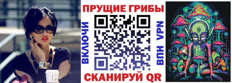 Псилоцибиновые грибы Psilocybine cubensis  наркошоп  Ардатов 